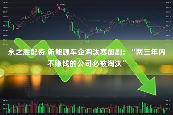 永之胜配资 新能源车企淘汰赛加剧：“两三年内不赚钱的公司必被淘汰”