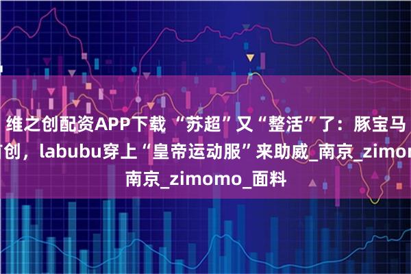 维之创配资APP下载 “苏超”又“整活”了：豚宝马甲云锦首创，labubu穿上“皇帝运动服”来助威_南京_zimomo_面料